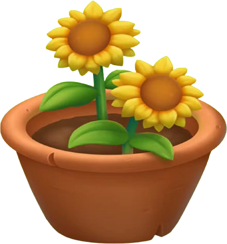 Растение в горшке