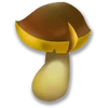 Champignon