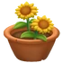 Maceta con flor