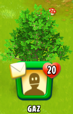 Revived tree