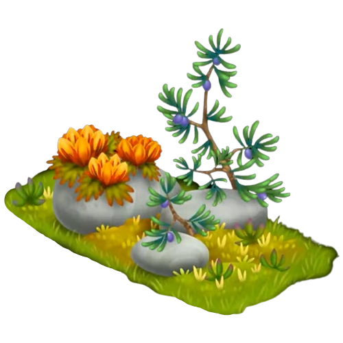 Полярный можжевельник