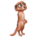 Red Meerkat