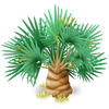 Palmas