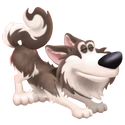 Husky