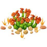 Savannah Cactus (Red cub)