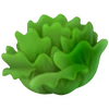 Lechuga