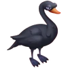 Cisne negro