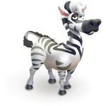 Cowlick zebra