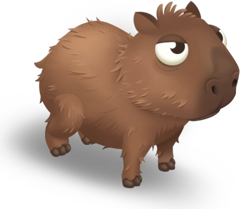 Детёныш коричневой капибары