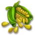 Sésamo