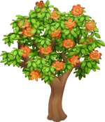 Гранатовое дерево