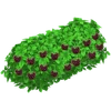 Brombeerstrauch