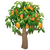 Mango Tree.png