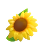 Sunflower Level 63