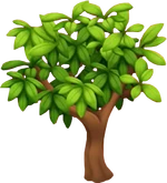 Гранатовое дерево