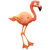 Flamenco rosa
