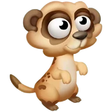 Braunes Erdmännchenbaby