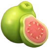 Guava