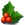 holly