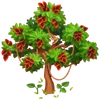 Árbol del coral