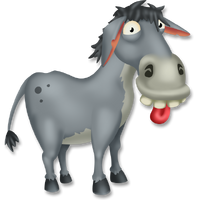 Provence donkey