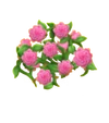 Rosenzaun Rosa