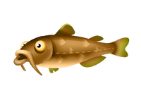 Black bullhead discount