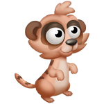 Red Meerkat Cub