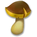Mushrooms