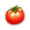 Tomate
