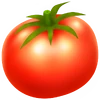 Tomate