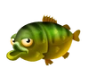 Green Sunfish