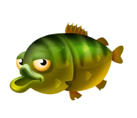 Green sunfish