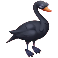 Black Swan