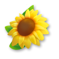 Girasole