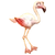 Flamenco