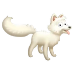 Белый песец