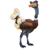 Brown ostrich