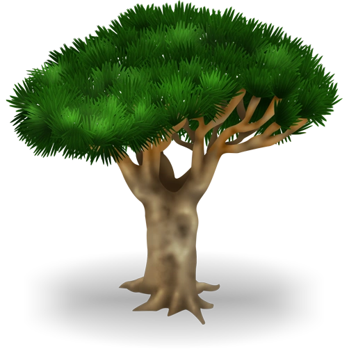 Драконово дерево