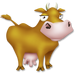 Mucca
