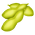 Soybean.png