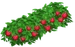Куст малины