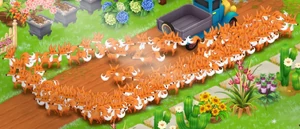 Много лисиц