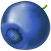 Arándano