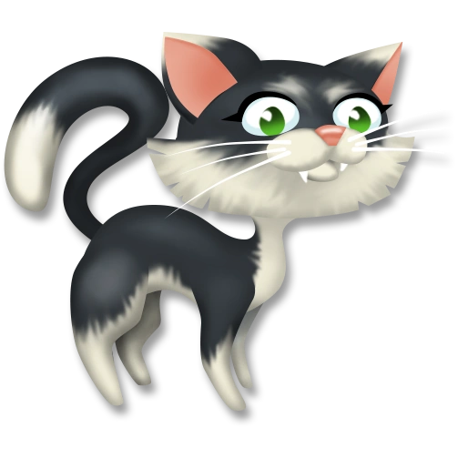 Чёрно-белая кошка