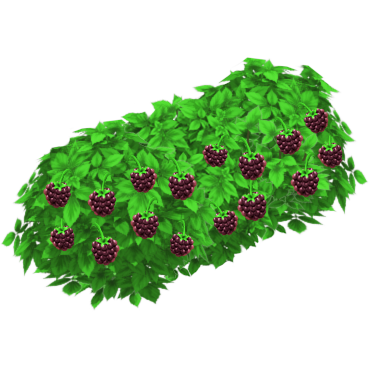 tree bush png