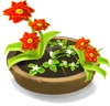 Dahlien
