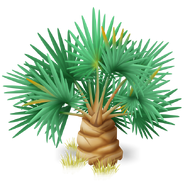 Lala Palm (Beige)