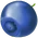 Blueberries