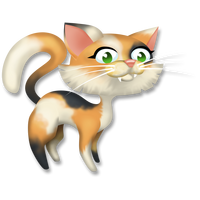 Calico cat